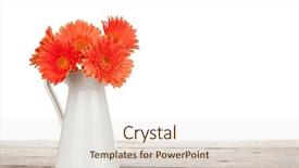  Presentation with gerbera daisy - Colorful PPT layouts enhanced with orange gerbera flowers in pitcher backdrop and a lemonade colored foreground