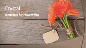  Presentation with orange - Slide deck enhanced with orange gerbera flowers with tag background and a coral colored foreground