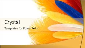  Presentation with carnival - Amazing presentation design having orange gold green blue - multicolored feathers on white background backdrop and a yellow colored foreground