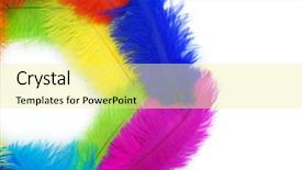  Presentation with orange green white - Presentation design with orange gold green blue - multicolored feathers on white background background and a blonde colored foreground