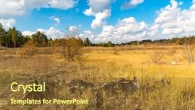  Presentation with green gold - Theme consisting of orange gold green blue - sunny autumn day on meadow background and a tawny brown colored foreground