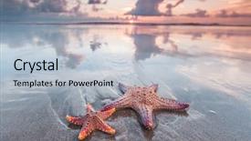  Presentation with orange starfish - Beautiful theme featuring orange gradiant color - two starfish on the beach backdrop and a light blue colored foreground