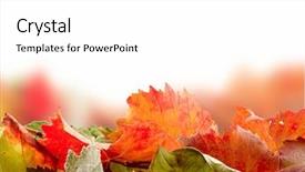  Presentation with fall leaves border autumn - Cool new presentation theme with orange green - colorful autumn leaves backdrop and a  colored foreground