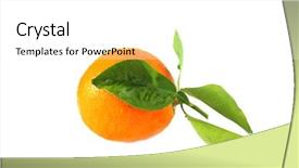  Presentation with orange fruit - Beautiful PPT layouts featuring orange isolated on white room backdrop and a white colored foreground