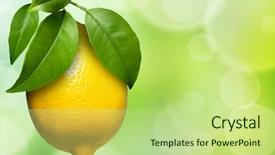  Presentation with lemon - Beautiful presentation theme featuring orange leaves - view of lemon hanging backdrop and a mint green colored foreground