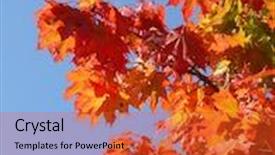  Presentation with blue orange - Theme consisting of orange-leaves-on-blue-sky background and a red colored foreground