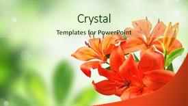  Presentation with technology orange and grey - Audience pleasing theme consisting of orange lily on blur green backdrop and a soft green colored foreground