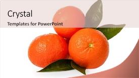  Presentation with orange - Amazing slide deck having orange mandarines clementines tangerines backdrop and a  colored foreground