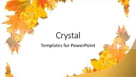  Presentation with beautiful fresh leaves water drops - Presentation theme with orange maroon - beautiful colored autumn leaves isolated background and a white colored foreground