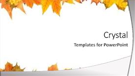  Presentation with orange colored - Presentation theme consisting of orange maroon - beautiful colored autumn leaves isolated background and a white colored foreground