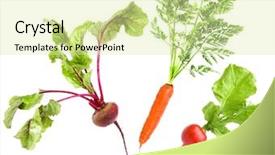  Presentation with hydroponics vegetables hydroponic vegetable - Slide set with orange maroon - vegetables collection isolated on white background and a blonde colored foreground