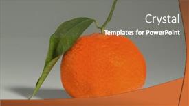  Presentation with orange - Audience pleasing PPT layouts consisting of orange-on-white-background backdrop and a gray colored foreground