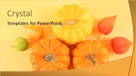  Presentation with yellow orange - Amazing PPT theme having orange-pumpkin-on-yellow-background backdrop and a light gray colored foreground