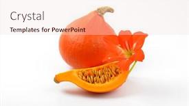  Presentation with hibiscus flower - Beautiful PPT layouts featuring orange pumpkins and hibiscus flower on white background backdrop and a lemonade colored foreground