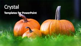  Presentation with halloween - Slide deck with orange pumpkins in garden grass background and a black colored foreground
