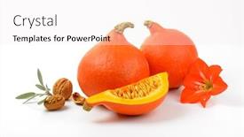  Presentation with hibiscus flower - Slide set consisting of orange pumpkins wtih walnuts sage and hibiscus flower on white background background and a sky blue colored foreground