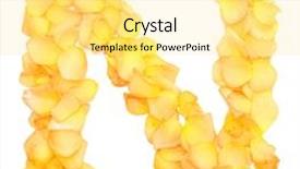  Presentation with letter - Presentation theme enhanced with orange rose petals forming letter n isolated on white background and a blonde colored foreground