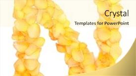  Presentation with red and white rose petals - Colorful PPT theme enhanced with orange rose petals forming letter backdrop and a  colored foreground