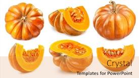  Presentation with pumpkin seeds - Presentation design with orange-round-pumpkins-pumpkin-slices background and a  colored foreground