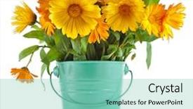  Presentation with calendula - Presentation theme featuring row of young cherry trees background and a mint green colored foreground