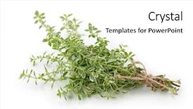  Presentation with thyme - Beautiful slides featuring orange scented thyme isolated on white background backdrop and a white colored foreground