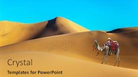  Presentation with camel - Audience pleasing presentation theme consisting of orange-sunrise-in-the-desert backdrop and a yellow colored foreground