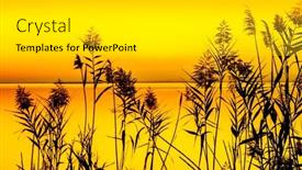  Presentation with orange - Presentation design having orange-sunset-on-the-sea background and a light gray colored foreground