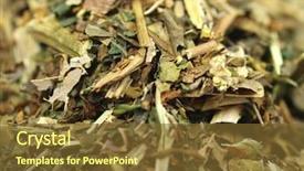  Presentation with lemon grass - Amazing presentation theme having orange tea with lemon grass background backdrop and a tawny brown colored foreground