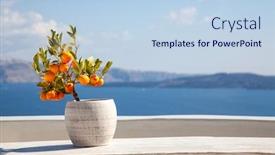  Presentation with blue orange - Cool new presentation theme with orange-tree-in-a-pot backdrop and a light blue colored foreground