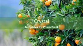  Presentation with orange fruit - Presentation featuring leadership chalk drawing illustration on dark background background and a dark gray colored foreground.