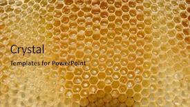  Presentation with cells - Slides having orange video background - fragment of honeycomb with full background and a gold colored foreground