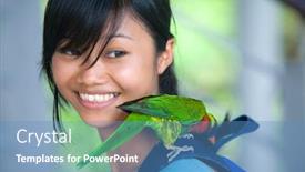  Presentation with parrot - Slides featuring orange-winged-amazon-parrot-perched background and a teal colored foreground