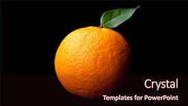  Presentation with orange fruit - Beautiful PPT theme featuring orange with leaf backdrop and a wine colored foreground