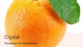  Presentation with orange - Audience pleasing PPT layouts consisting of orange with leaf backdrop and a gold colored foreground