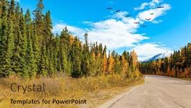  Presentation with red blue yellow - Presentation theme featuring orange-yellow-and-red-tree background and a  colored foreground