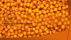  Presentation with yellow orange - Beautiful PPT theme featuring orange-yellow-sea-buckthorn-background backdrop and a gold colored foreground