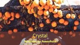  Presentation with morocco - Slide deck with oranges-fountain-in-cefchaouen-morocco background and a tawny brown colored foreground