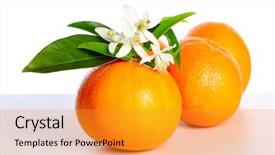  Presentation with spring flowers on textured - Slide set having oranges with orange blossom flowers background and a gold colored foreground