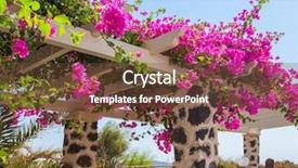  Presentation with island - Colorful slide set enhanced with oratory - beautiful blooming bougenvilia in emporio backdrop and a tawny brown colored foreground