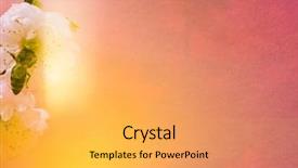  Presentation with blooming lotus flower of pink - Presentation featuring orchard planting planting designs - bee on the almond flower background and a yellow colored foreground