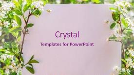  Presentation with sakura japanese cherry branch - Presentation theme featuring orchard planting planting designs - paper blank between cherry branches background and a lemonade colored foreground