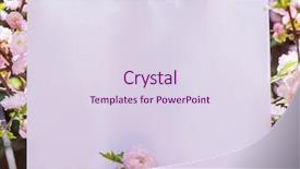  Presentation with frame pink - Amazing PPT layouts having orchard planting planting designs - paper blank between flowering almond backdrop and a  colored foreground