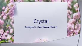  Presentation with notepad blank lined paper - Slide set enhanced with orchard planting planting designs - paper blank between flowering almond background and a  colored foreground