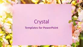  Presentation with notepad blank lined paper - Presentation theme consisting of orchard planting planting designs - paper blank between flowering almond background and a  colored foreground