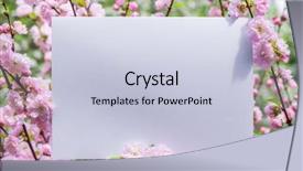  Presentation with frame pink - Audience pleasing presentation consisting of orchard planting planting designs - paper blank between flowering almond backdrop and a lemonade colored foreground