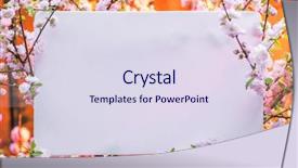  Presentation with notepad blank lined paper - Cool new slide set with orchard planting planting designs - paper blank between flowering almond backdrop and a sky blue colored foreground