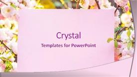  Presentation with paper quilling colorful paper flowers - Slide deck with orchard planting planting designs - paper blank between flowering almond background and a pink colored foreground