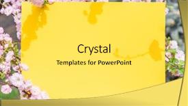  Presentation with notepad blank lined paper - Colorful presentation design enhanced with orchard planting planting designs - paper blank between flowering almond backdrop and a white colored foreground