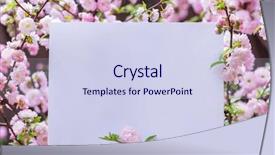  Presentation with notepad blank lined paper - Presentation design featuring orchard planting planting designs - paper blank between flowering almond background and a sky blue colored foreground