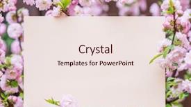  Presentation with notepad blank lined paper - Colorful presentation enhanced with orchard planting planting designs - paper blank between flowering almond backdrop and a sky blue colored foreground